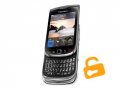 BlackBerry 9800 Torch entsperren