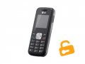 LG GS101 entsperren