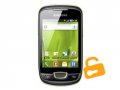 Samsung GT-S5570 Galaxy Mini entsperren